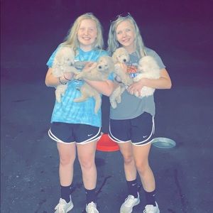 Meet your Posher, Allie